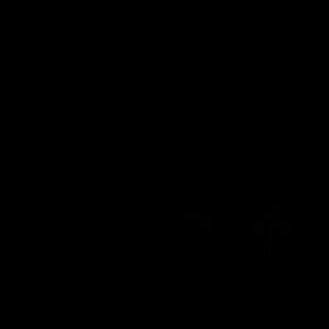 Meet your Posher, Ishonte